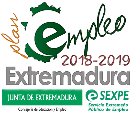 PLAN DE EMPLEO